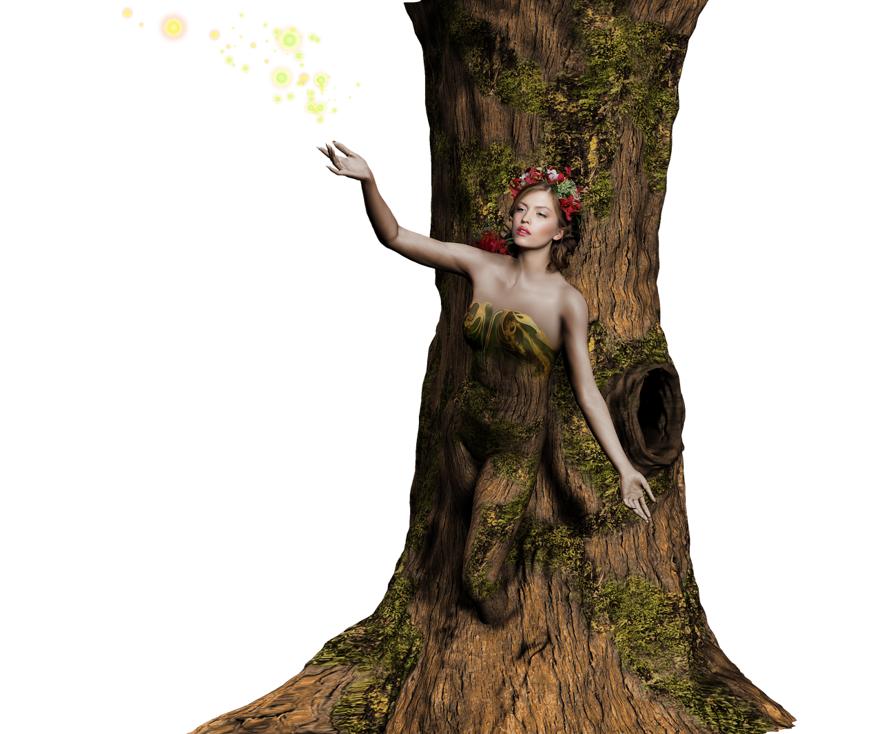 explore the concept of transformation in various contexts, from personal growth to technological advancements, and discover how change can lead to new opportunities and greater understanding.