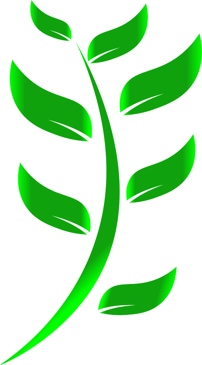 discover eco-friendly solutions that promote sustainability and protect the environment. explore innovative products, tips, and practices that help you live a greener lifestyle while making a positive impact on the planet.