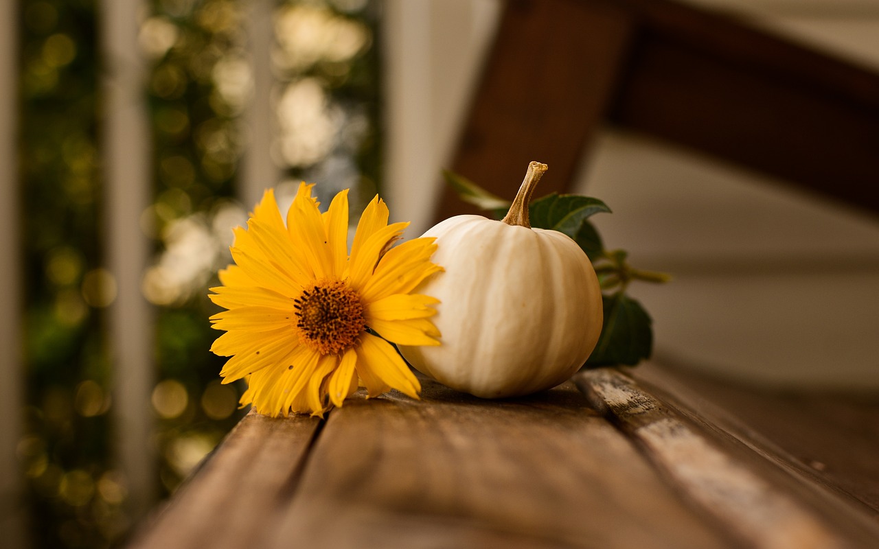 celebrate thanksgiving with warmth and gratitude. discover festive recipes, decoration ideas, and tips for creating memorable moments with family and friends this holiday season.