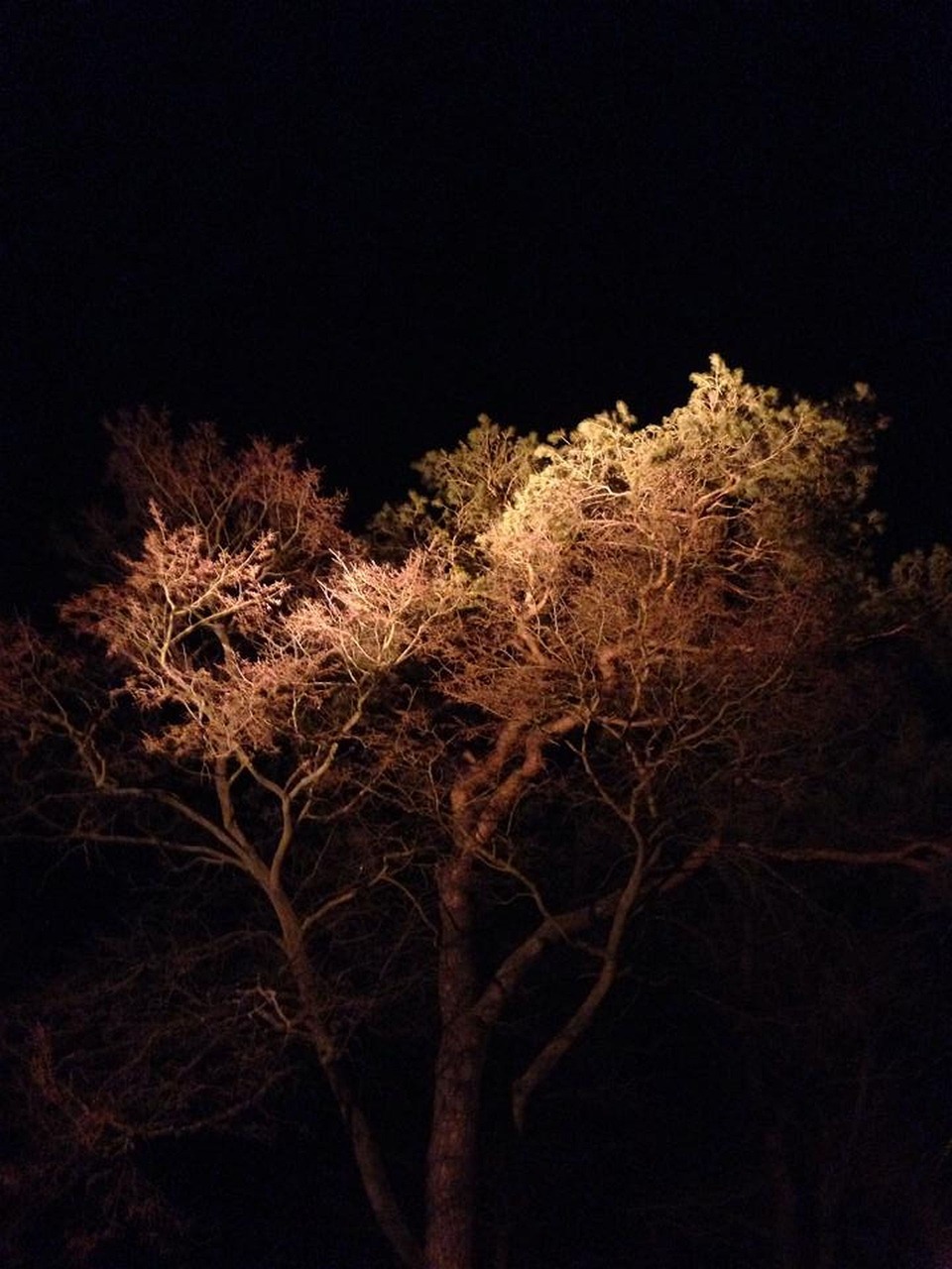 experience the ultimate getaway with an overnight stay in st. barts, where luxury meets natural beauty. enjoy breathtaking beaches, vibrant nightlife, and exquisite dining as you unwind in this caribbean paradise.